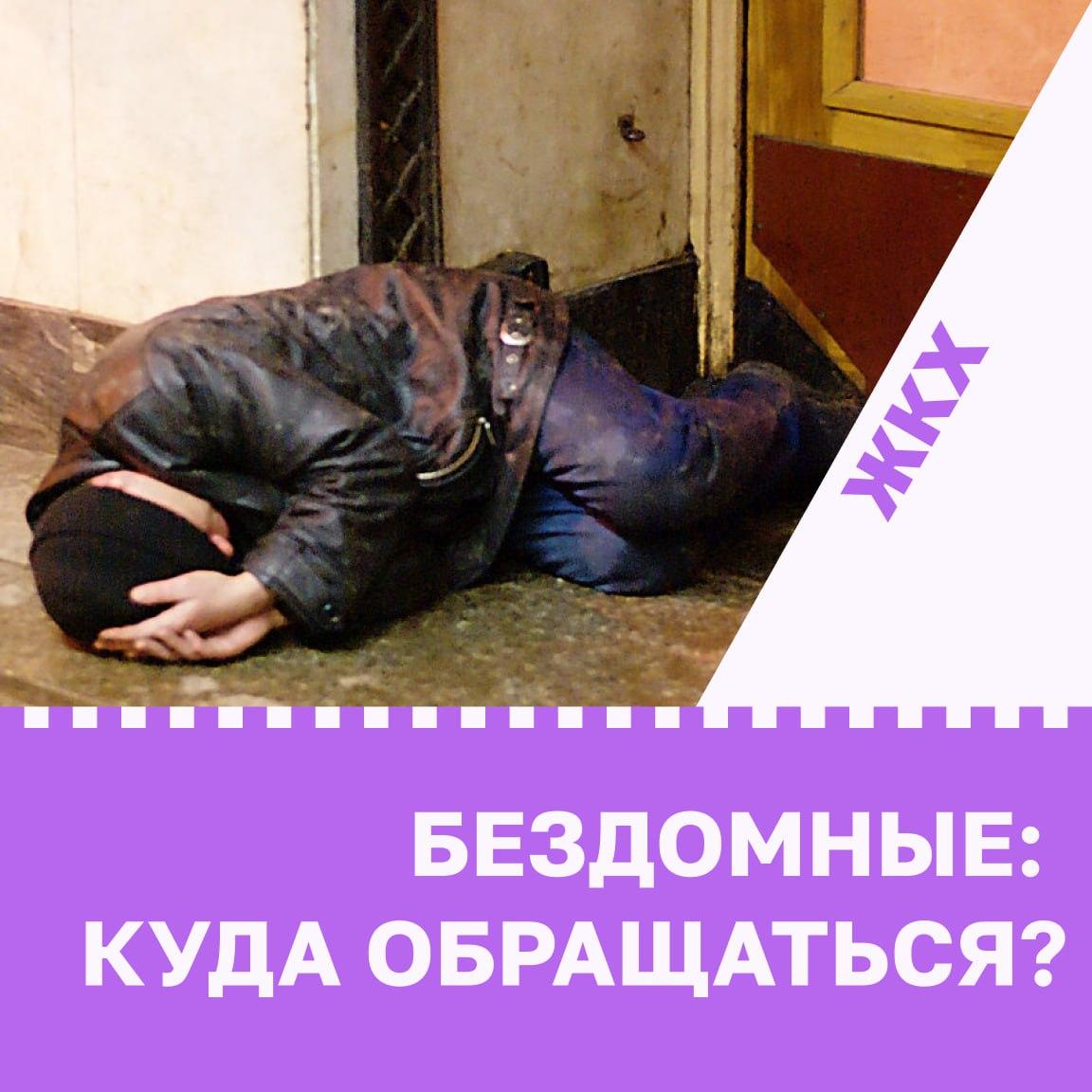 Бездомные в подъезде: куда обращаться?