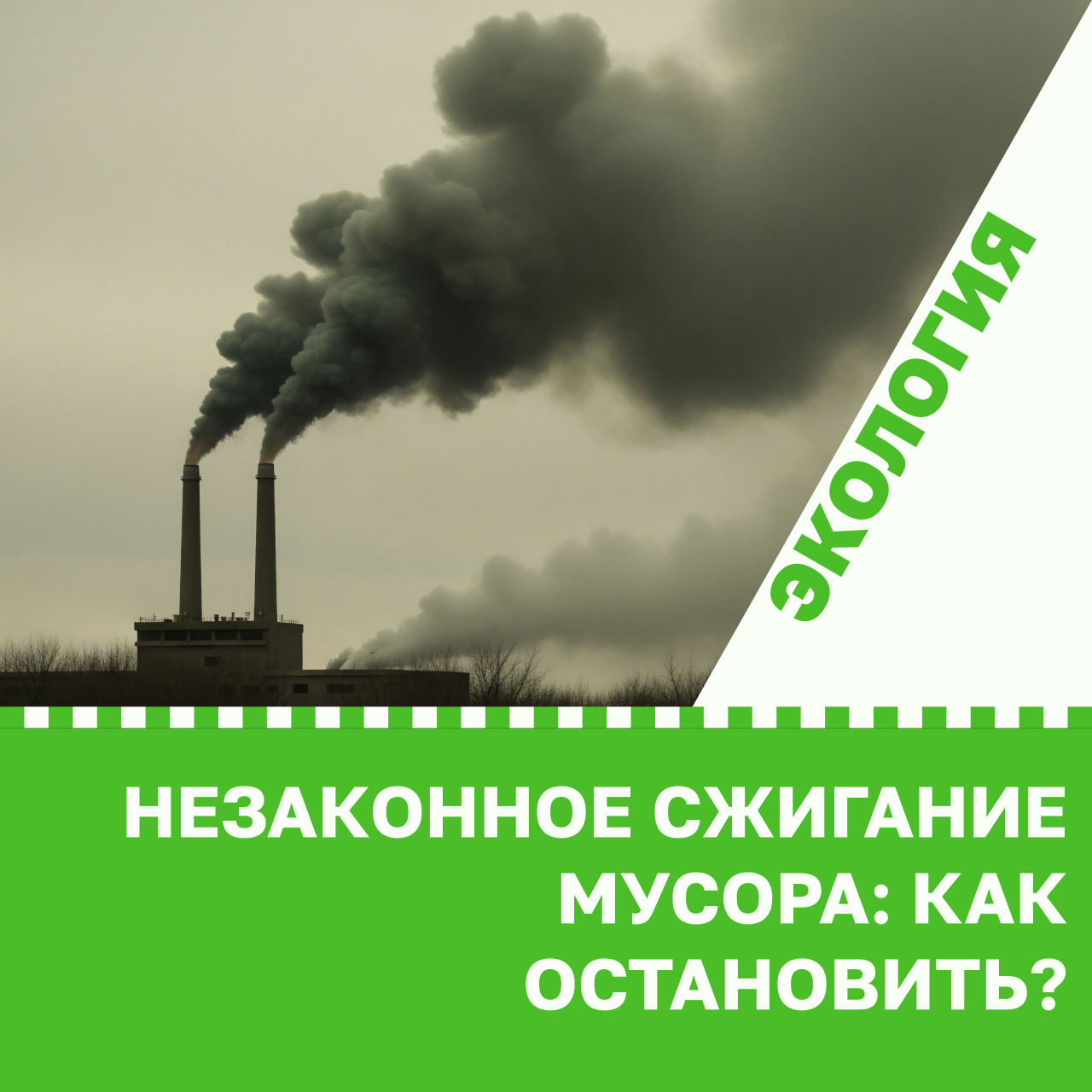 Незаконное сжигание мусора: как остановить?