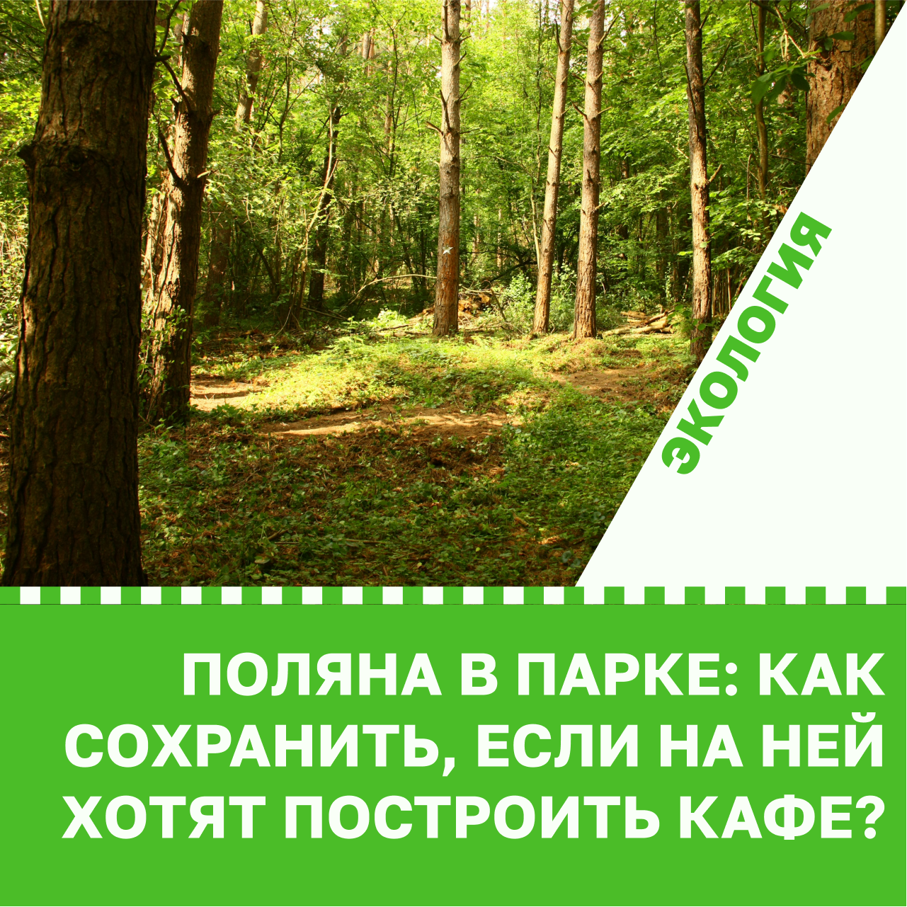 Поляна в парке: как сохранить, если на ней хотят построить кафе?